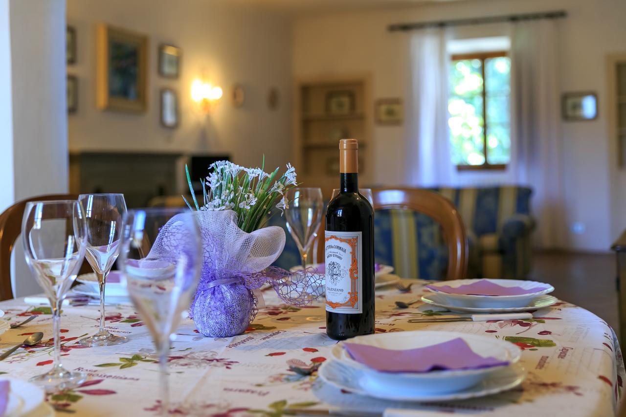 Agriturismo Fattoria Di Sommaia 칼렌자노 외부 사진